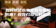 如何防止衣物发霉与家居防潮？教你几招，轻松搞定