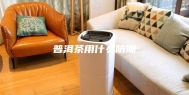 普洱茶用什么防潮
