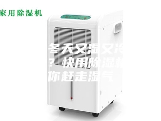 行业新闻南方冬天又湿又冷受不了？快用除湿机帮你赶走湿气