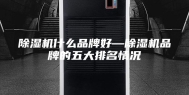 除湿机什么品牌好—除湿机品牌的五大排名情况