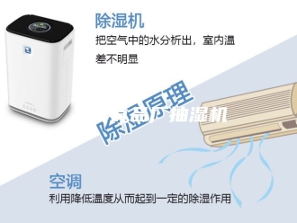 企业新闻品牌食品厂抽湿机