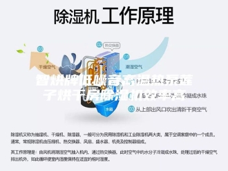 行业新闻智烘牌低噪音高温热泵莲子烘干房除湿机效率高