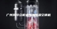 广州风冷立柜式恒温恒湿空调机