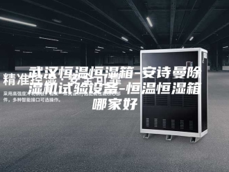 企业新闻武汉恒温恒湿箱-安诗曼除湿机试验设备-恒温恒湿箱哪家好