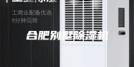 合肥别墅除湿机