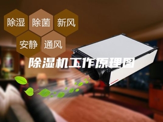 企业新闻除湿机工作原理图