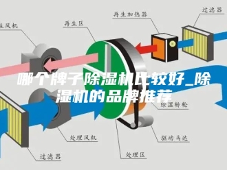 行业新闻哪个牌子除湿机比较好_除湿机的品牌推荐