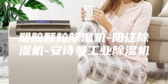 塑胶颗粒除湿机-阳江除湿机-安诗曼工业除湿机