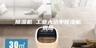 除湿机 工业大功率除湿机供应