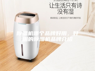 企业新闻除湿机哪个品牌好用，好用的除湿机品牌介绍