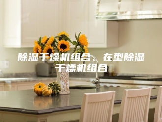 企业新闻除湿干燥机组合、在型除湿干燥机组合