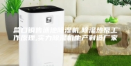 营口销售泳池除湿机,除湿热泵工作原理,实力除湿机生产制造厂家