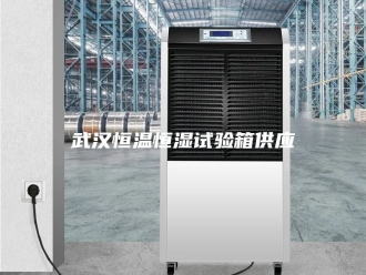常见问题武汉恒温恒湿试验箱供应