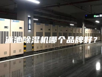 行业新闻泳池除湿机哪个品牌好？