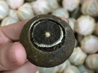 知识百科新会柑普洱茶功效与柑普茶烘干机设置_除湿机厂家