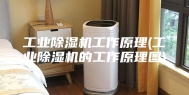 工业除湿机工作原理(工业除湿机的工作原理图)