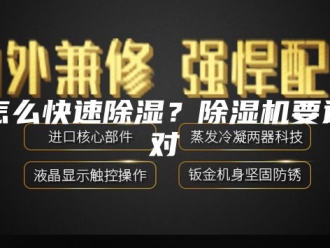 行业新闻怎么快速除湿？除湿机要选对