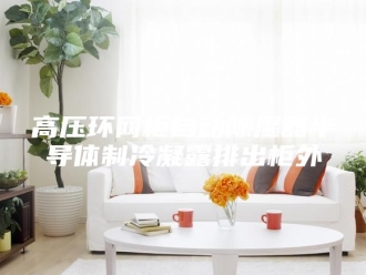 知识百科高压环网柜自动除湿器半导体制冷凝露排出柜外