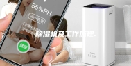 除湿机及工作原理.