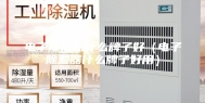 电子除湿器什么牌子好（电子除湿器什么牌子好用）