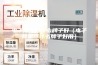电子除湿器什么牌子好（电子除湿器什么牌子好用）