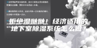 拒绝湿哒哒！经济适用的地下室除湿系统怎么做？