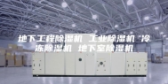 地下工程除湿机 工业除湿机 冷冻除湿机 地下室除湿机