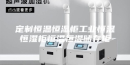 定制恒温恒湿柜工业恒温恒湿柜恒温恒湿储存柜