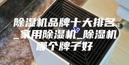 除湿机品牌十大排名_家用除湿机_除湿机哪个牌子好