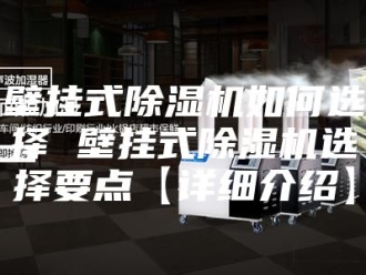行业新闻壁挂式除湿机如何选择 壁挂式除湿机选择要点【详细介绍】