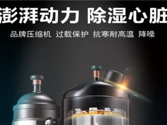 企业新闻采菊东篱下，悠然见南山，金丝皇菊花的加工生产提高产能，升温型烘干工业除湿机