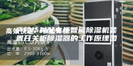 庐陵华科配电柜智能除湿机装置开关柜除湿器的工作原理图