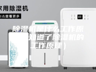 新闻资讯除湿机是什么工作原理（知道了除湿机的工作原理）