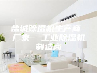 行业新闻盐城除湿机生产商 厂家  工业除湿机制造商