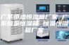 广东恒温恒湿箱厂家 广东恒温恒湿箱 恒温恒湿箱厂家