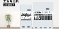 十大热门除湿机？(除湿机专业品牌排行)