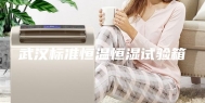 武汉标准恒温恒湿试验箱