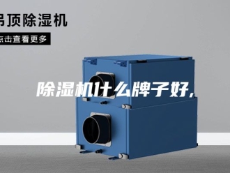 企业新闻除湿机什么牌子好,