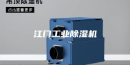 江门工业除湿机