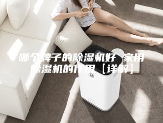 行业新闻哪个牌子的除湿机好 家用除湿机的作用【详解】