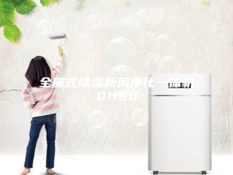 常见问题全屋式除湿新风净化一体机DH90