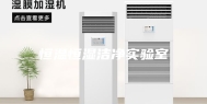 恒温恒湿洁净实验室
