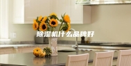 除湿机什么品牌好