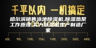 哈尔滨销售泳池除湿机,除湿热泵工作原理,实力除湿机生产制造厂家