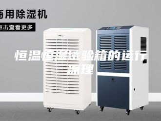 常见问题恒温恒湿试验箱的运行原理