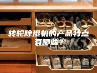 企业新闻转轮除湿机的产品特点有哪些？
