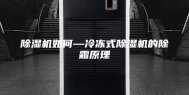 除湿机如何—冷冻式除湿机的除霜原理