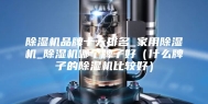 除湿机品牌十大排名_家用除湿机_除湿机哪个牌子好（什么牌子的除湿机比较好）