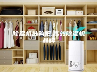 企业新闻除湿机选购吧,高效除湿机品牌