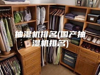 企业新闻抽湿机排名(国产抽湿机排名)